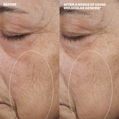 MOLECULAR DISCOVERY SET